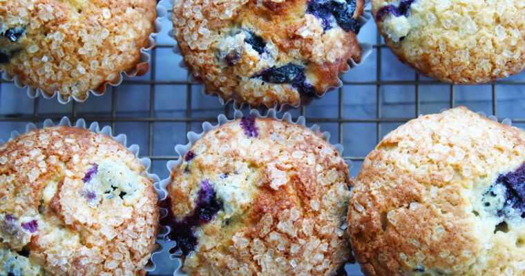 Blueberry Muffins